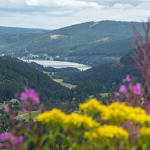 Titisee.jpg