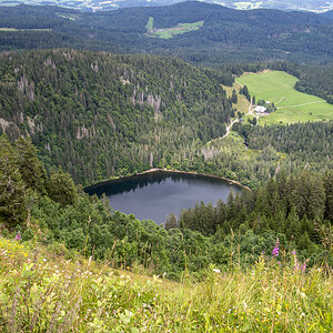 Feldberg Schwarzwald2.jpg
