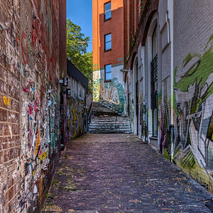 D50_8410_216#.JPG
