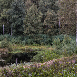 Bullenkuhle 190921-1 (1 von 1).JPG