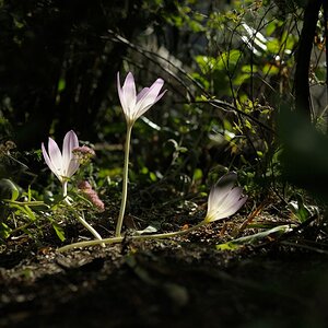 700_2801.jpg