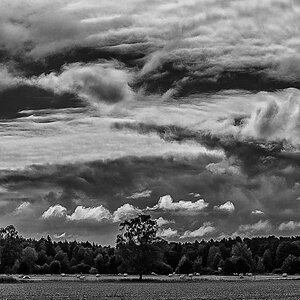Moorwolken (1 von 1).JPG