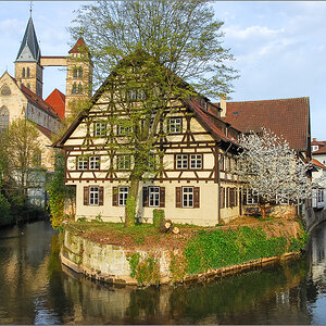 DS2_1423.jpg