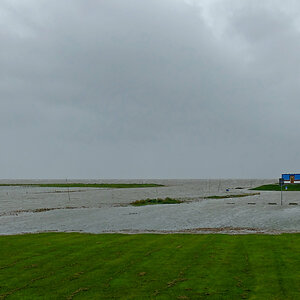 DSCF3399PAxl.jpg