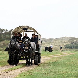 Texel 2021-004.jpg