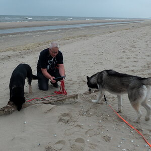 Texel 2021-005.jpg