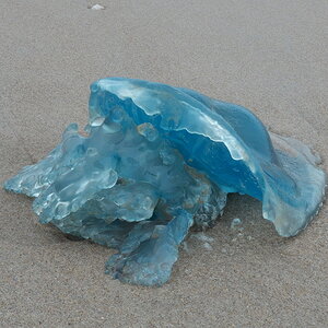 Texel 2021-006.jpg