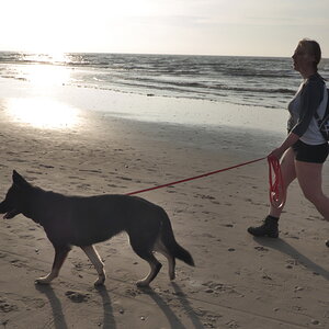 Texel 2021-007.jpg