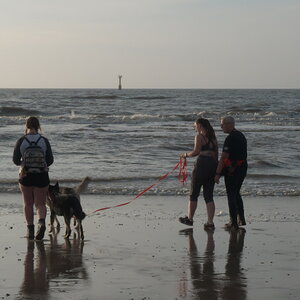 Texel 2021-008.jpg