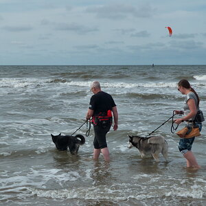 Texel 2021-019.jpg