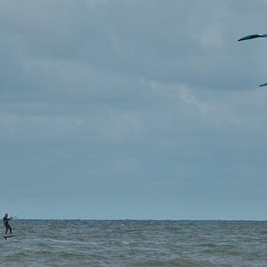 Texel 2021-020.jpg