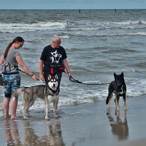 Texel 2021-021.jpg