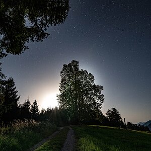 Farben der Nacht