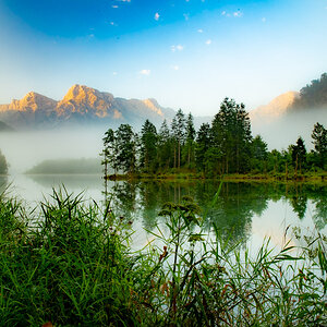 Almsee