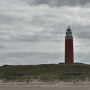 DFX_0320.jpg