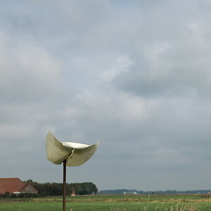 DFX_0365.jpg
