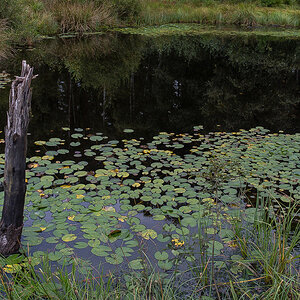 Bullenkuhle 190921-2 (1 von 1).JPG