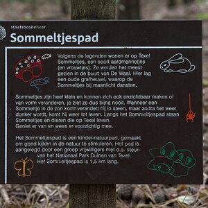 Texel 2021-069.jpg