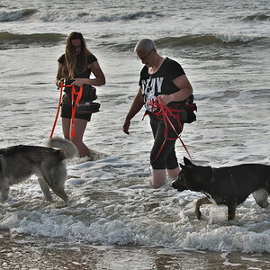 Texel 2021-078.jpg