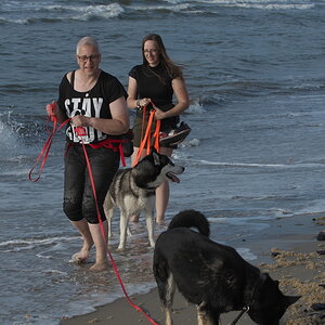 Texel 2021-079.jpg