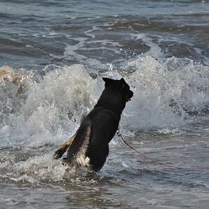 Texel 2021-080.jpg