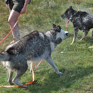 Texel 2021-084.jpg