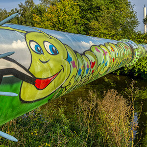 _D719235-NEF_DxO_DeepPRIME_233#.JPG