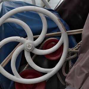 Texel 2021-136.jpg