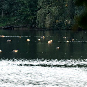 20210928-D50_3575-Bearbeitet.jpg