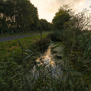 _D719251-_237#.JPG