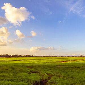 _D719250-_236#.JPG