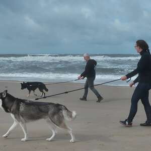 Texel 2021-146.jpg