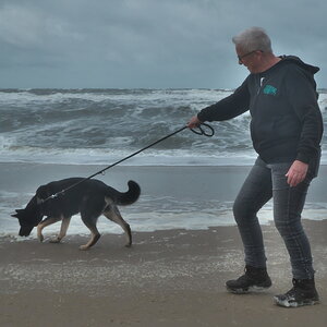 Texel 2021-147.jpg