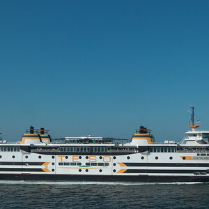 Texel 2021-149.jpg