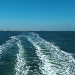 Texel 2021-151.jpg