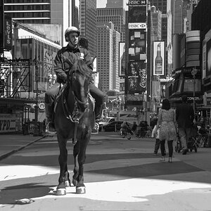 Manhattan Berittener Polizist SW.jpg