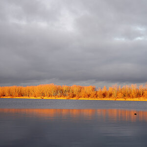 Hufeisensee.jpg