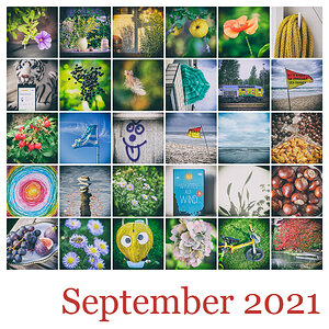 365 | 2021 Mosaik Tableau September