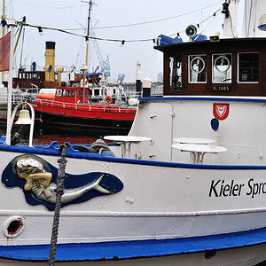 DSC_2142.jpg