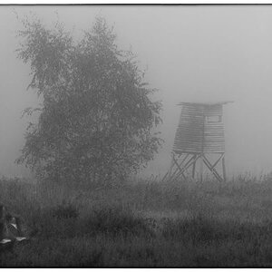 Nebelhochsitz BW (1 von 1).JPG