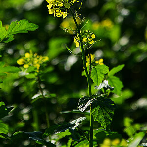 811_7940at5l10fks70p1.jpg