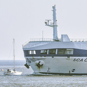 D50_1524-_255#.JPG