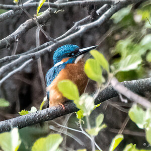 20210428-D50_9349-Bearbeitet.jpg