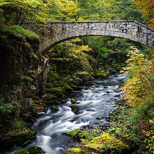Brücke im Herbst
