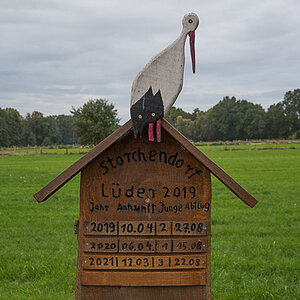 Lüder Störche (1 von 1).JPG
