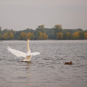 P1090297a_klein.jpg