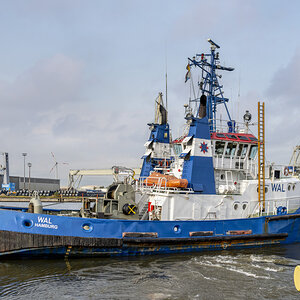 _Z7F5848-#_261#.JPG