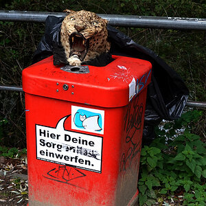 hamburg.jpg