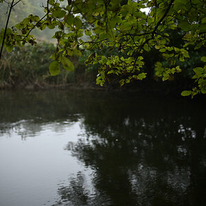 Voigt.40 f2,5.jpg