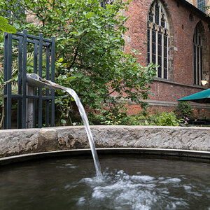20210923-D50_2956.jpg